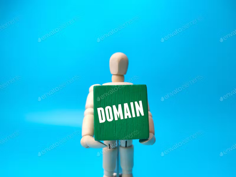 Domain Management